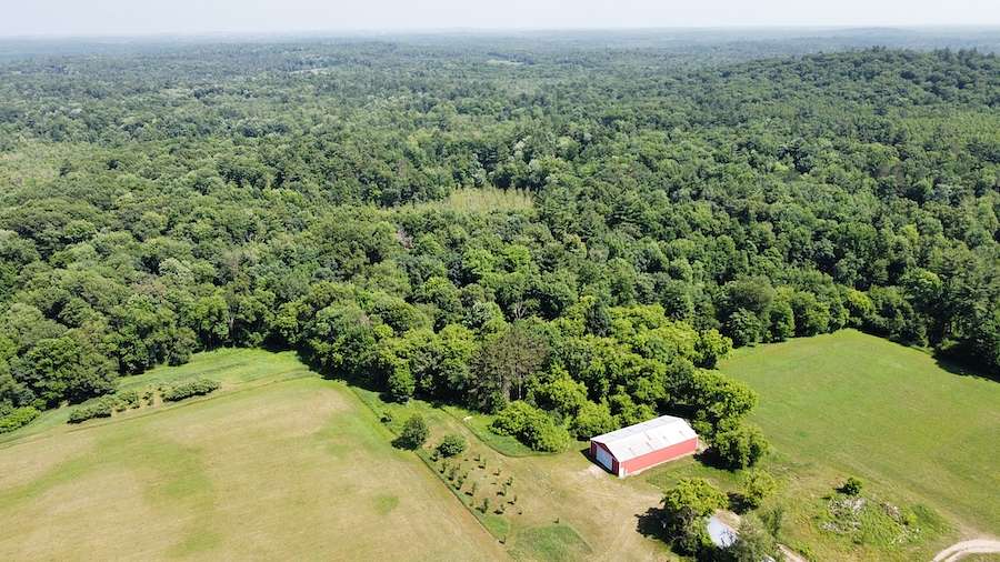 99.9 Acres of Recreational Land & Farm for Sale in Iola, Wisconsin