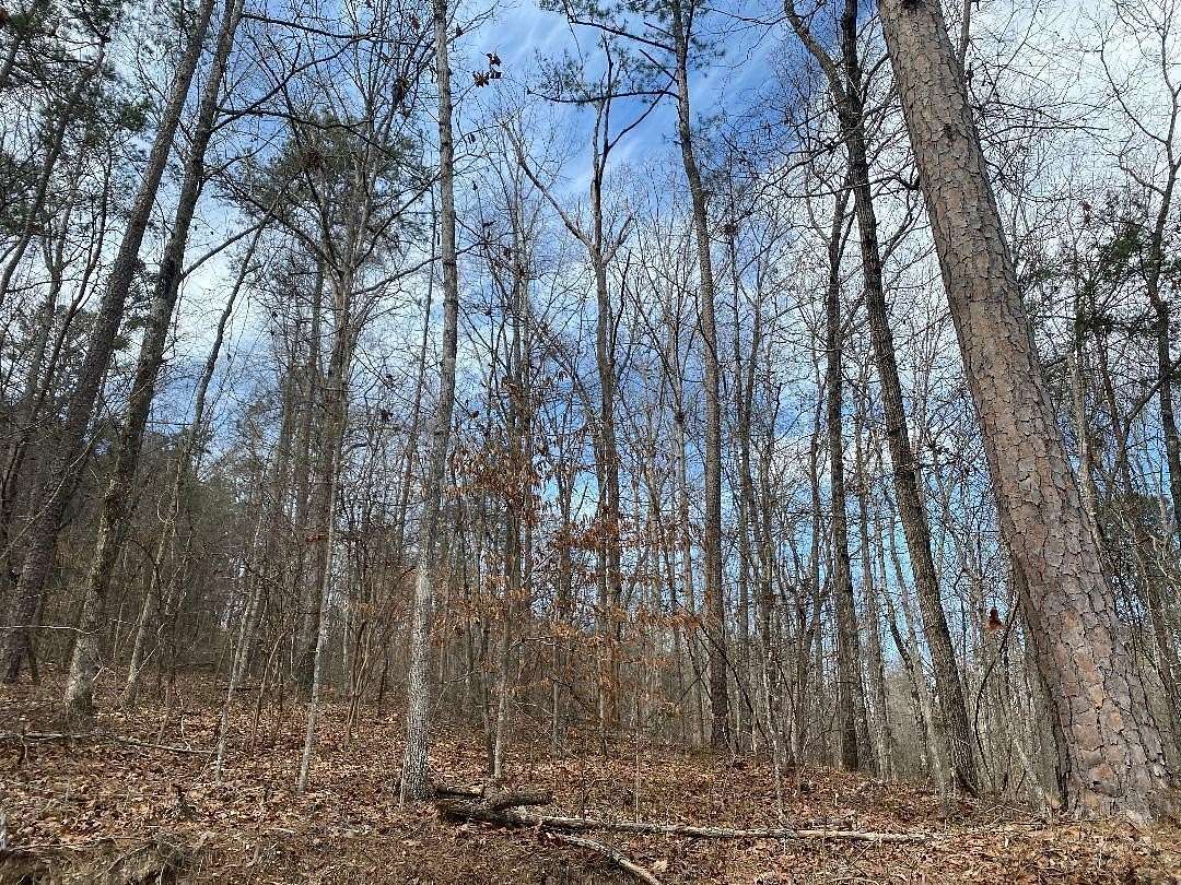 0.5 Acres of Residential Land for Sale in Jasper, Alabama