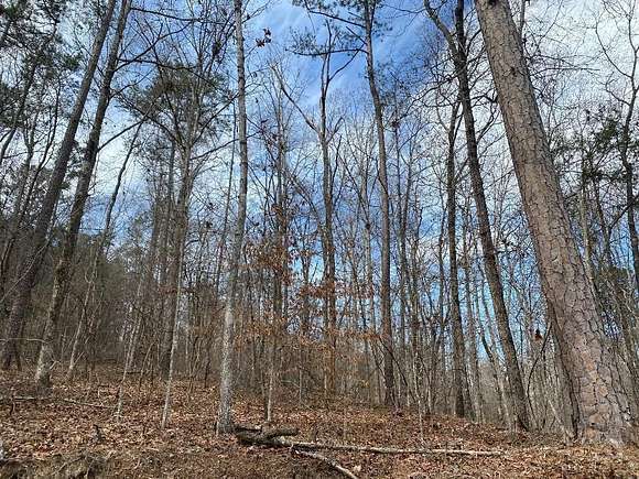 0.5 Acres of Residential Land for Sale in Jasper, Alabama