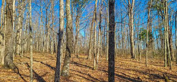 33.6 Acres of Land for Sale in Monteagle, Tennessee