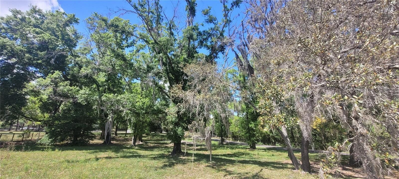 0.98 Acres of Residential Land for Sale in Odessa, Florida