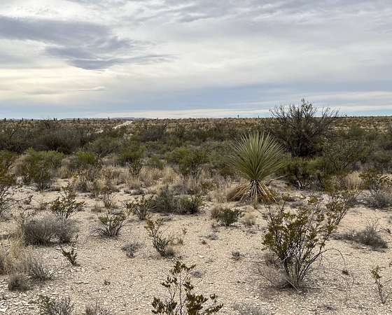 45.4 Acres of Land for Sale in Alpine, Texas