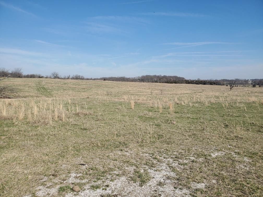 30 Acres of Land for Sale in Rogersville, Missouri