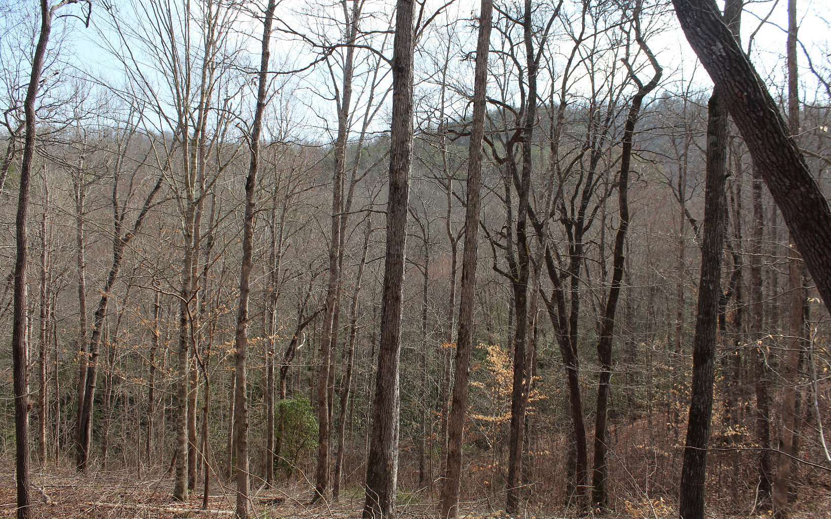 1.6 Acres of Residential Land for Sale in Hiawassee, Georgia