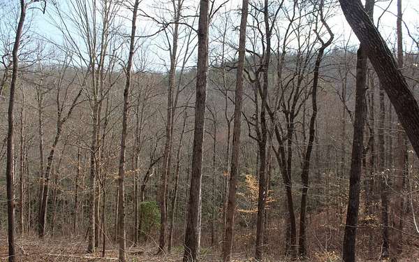1.59 Acres of Residential Land for Sale in Hiawassee, Georgia