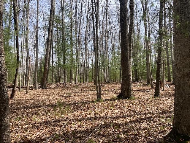 0.33 Acres of Land for Sale in Daniels, West Virginia