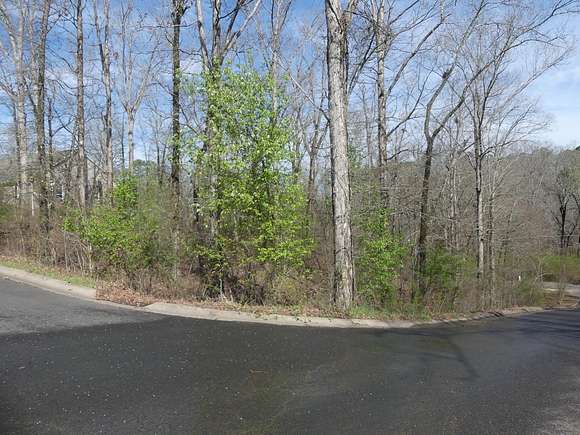 0.51 Acres of Residential Land for Sale in Hot Springs, Arkansas