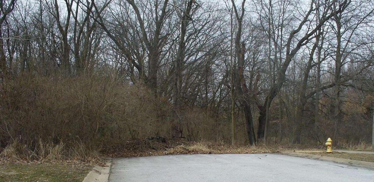 11 Acres of Land for Sale in Lowell, Indiana