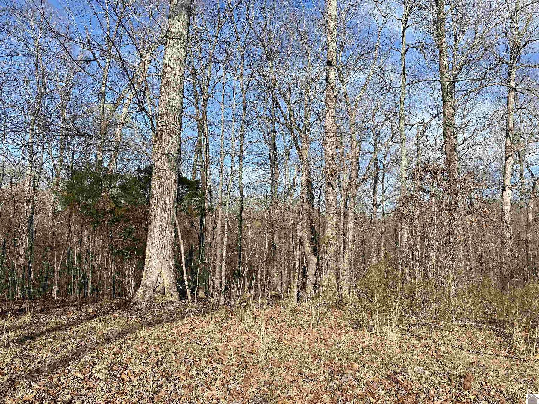 1.2 Acres of Residential Land for Sale in Eddyville, Kentucky