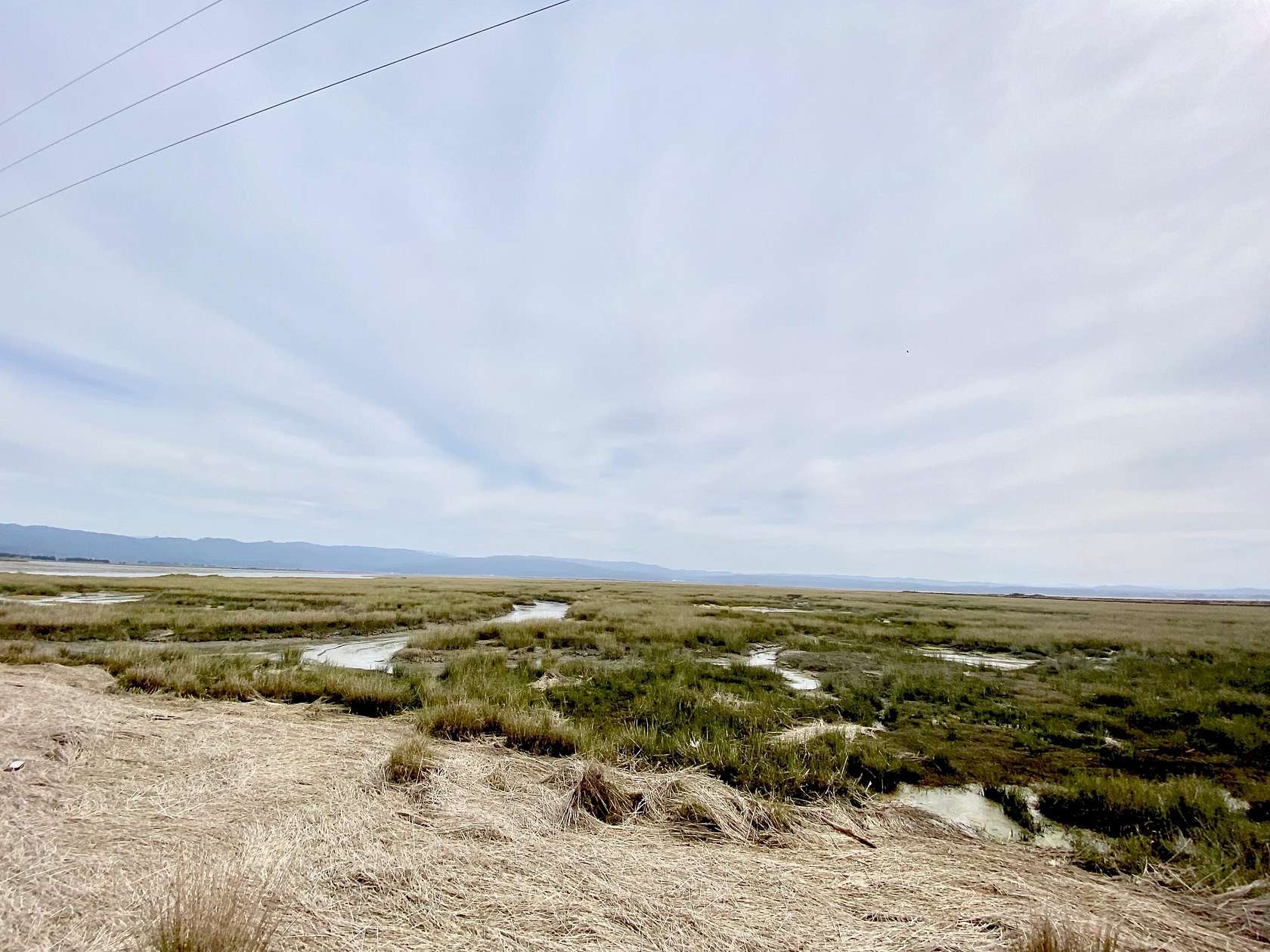 32.8 Acres of Land for Sale in Arcata, California