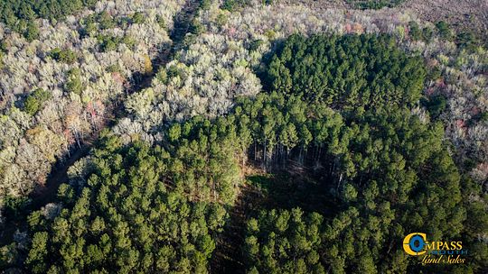 223 Acres of Recreational Land for Sale in Dorchester, South Carolina