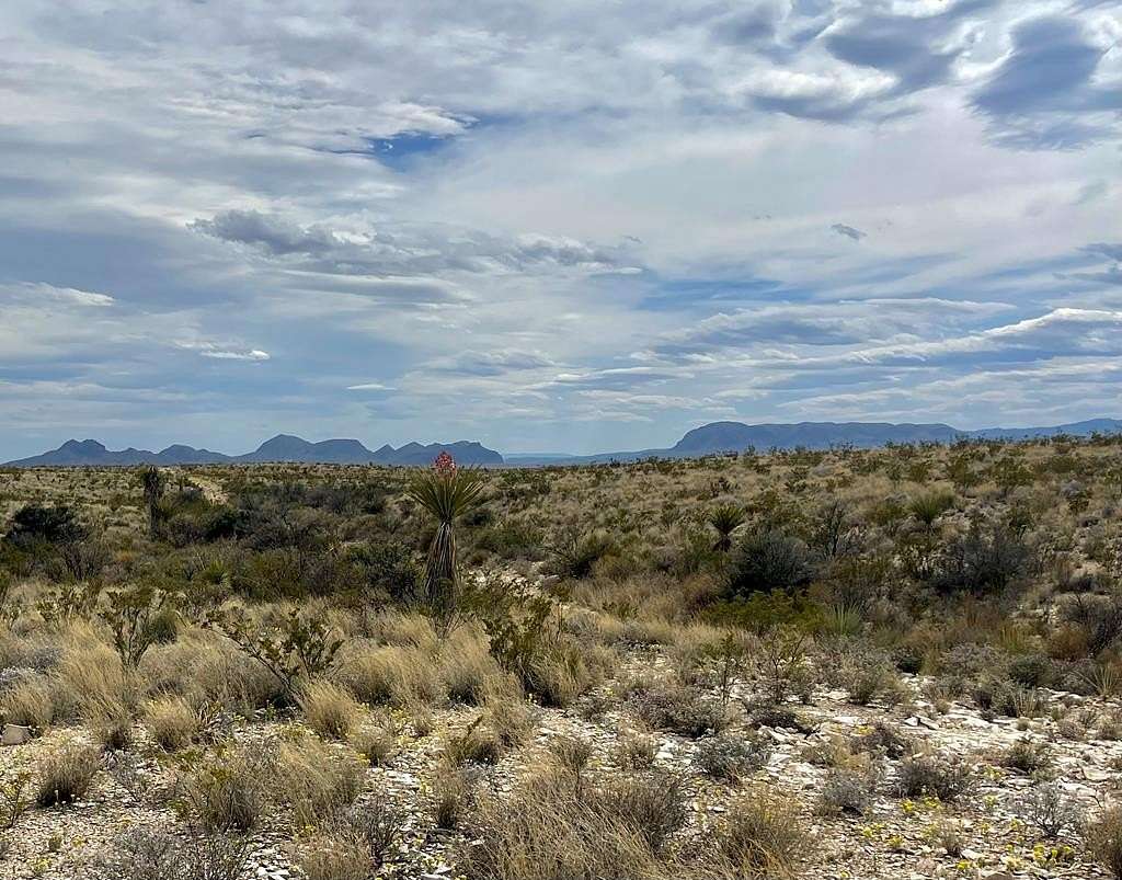 5 Acres of Recreational Land for Sale in Terlingua, Texas