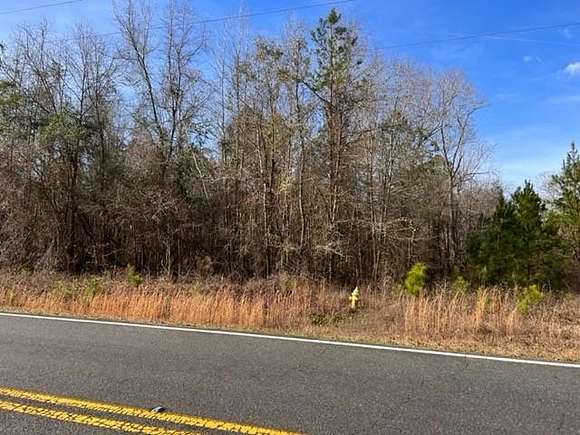 11.9 Acres of Land for Sale in Fort Valley, Georgia
