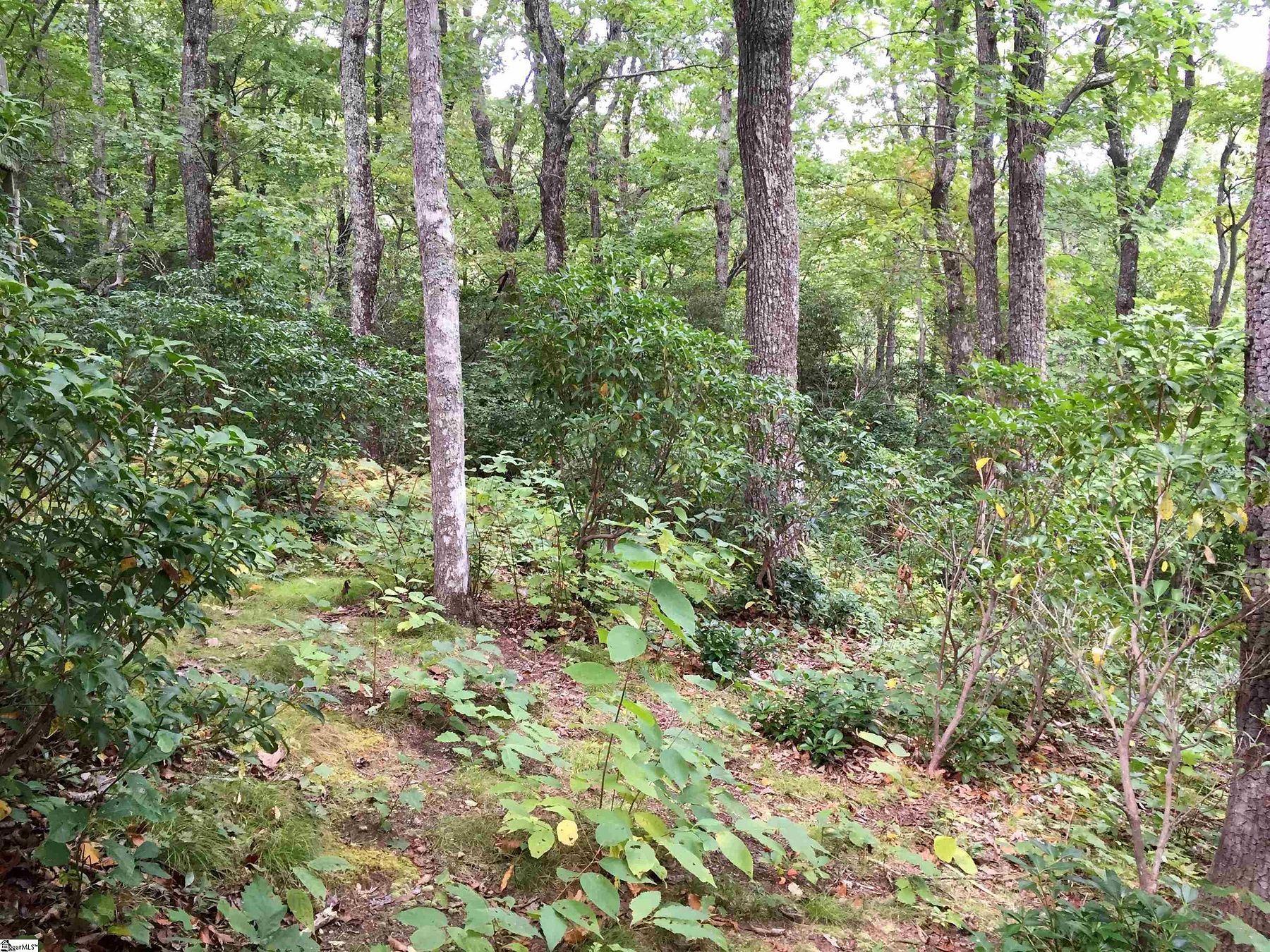 1.6 Acres of Residential Land for Sale in Zirconia, North Carolina