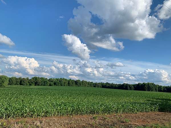 144 Acres of Land for Sale in Jackson, Tennessee