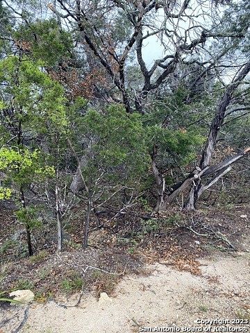 0.7 Acres of Residential Land for Sale in Fischer, Texas