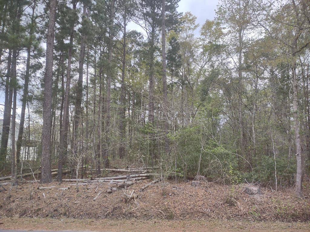 0.83 Acres of Residential Land for Sale in Manning, South Carolina