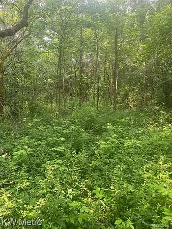 7 Acres of Residential Land for Sale in Oxford, Michigan