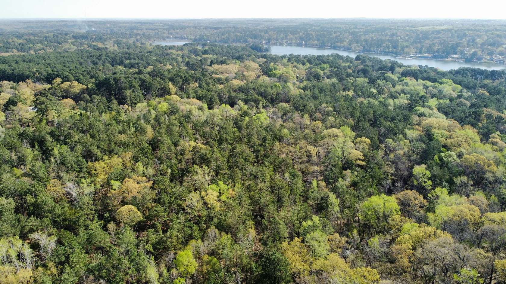 74.6 Acres of Land for Sale in Lindale, Texas