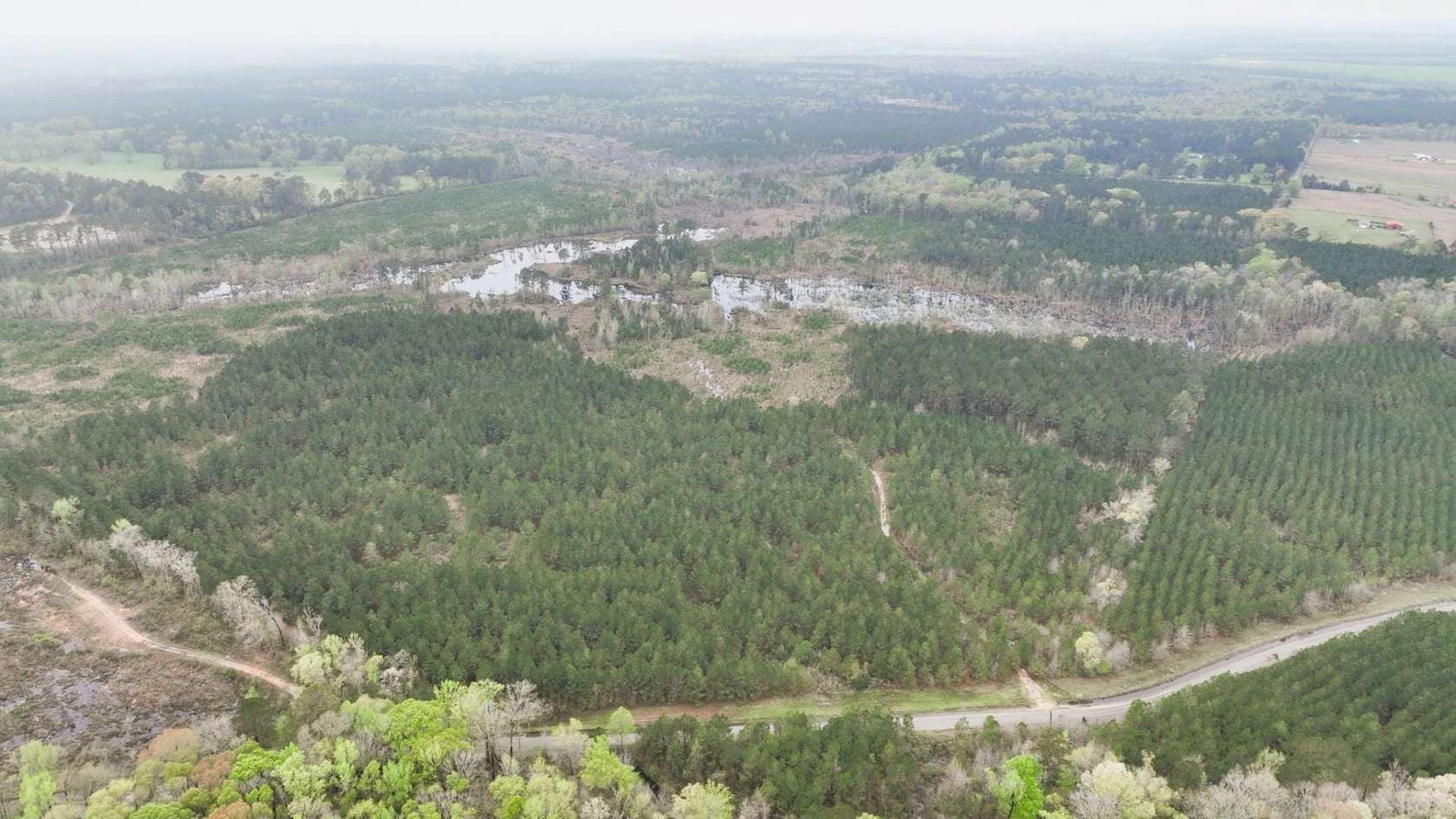 160 Acres of Recreational Land for Sale in Edgefield, Louisiana