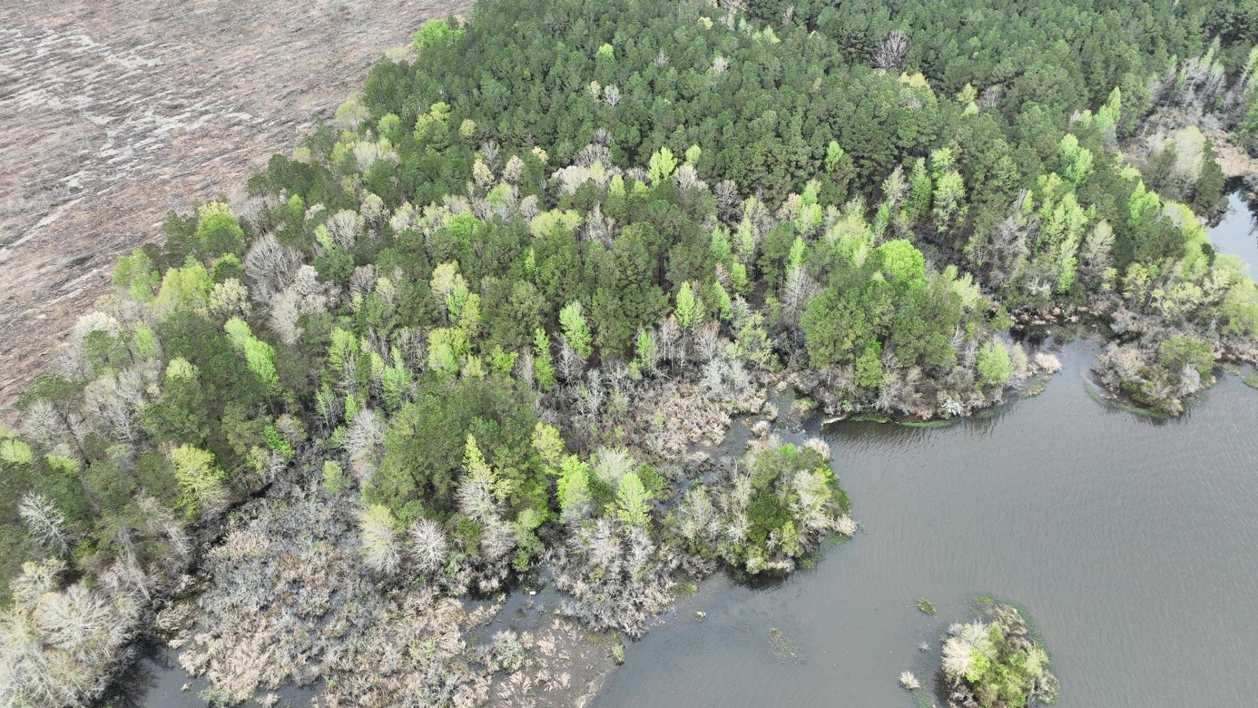 185 Acres of Recreational Land for Sale in Coushatta, Louisiana