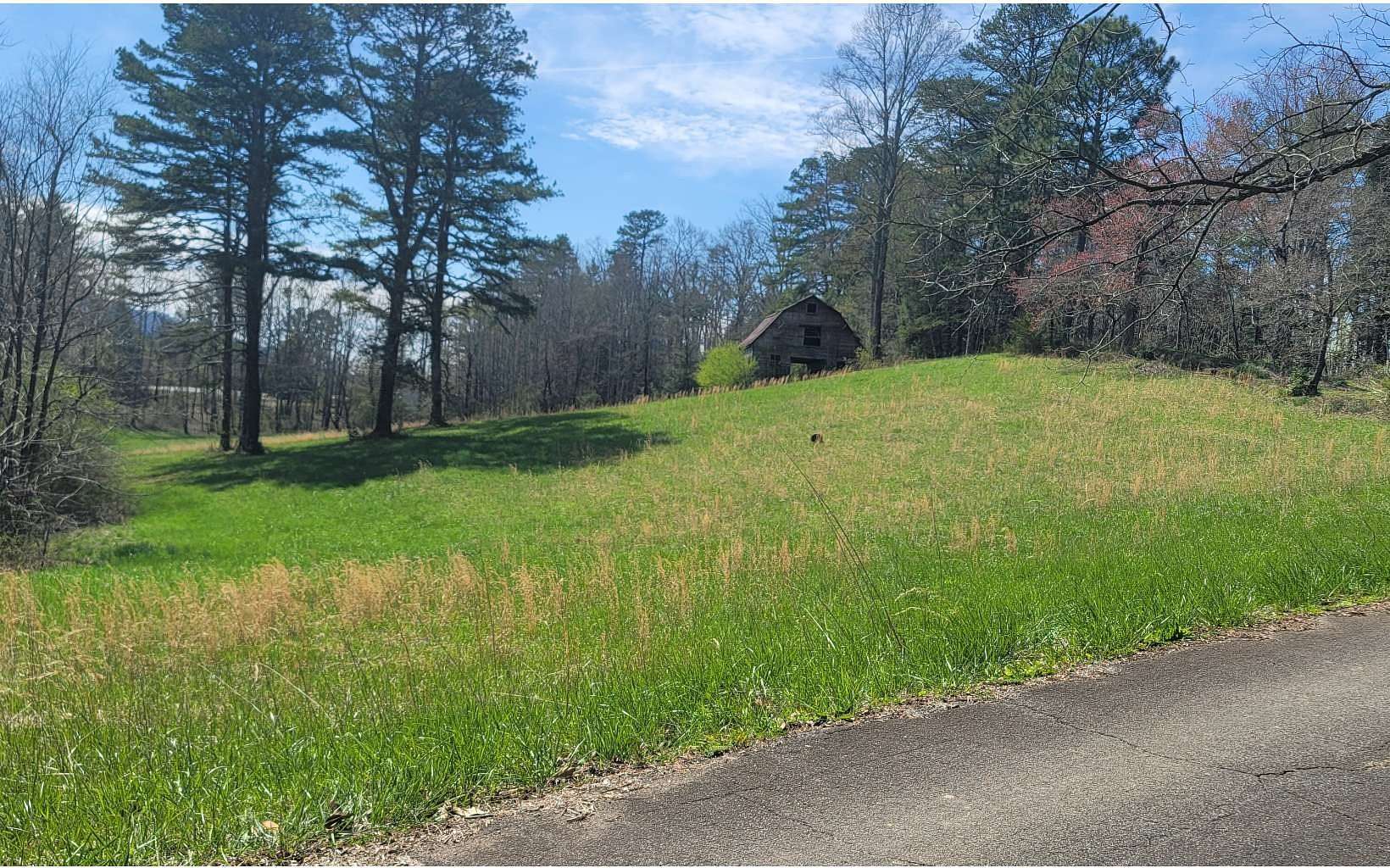 2.87 Acres of Residential Land for Sale in Blue Ridge, Georgia