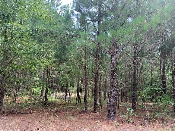 4.31 Acres of Land for Sale in Rembert, South Carolina
