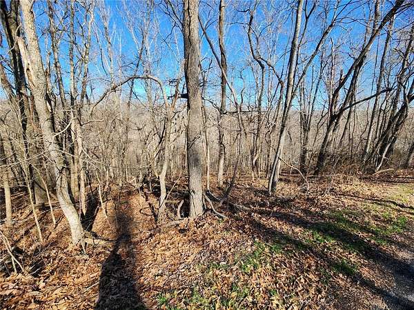 0.29 Acres of Residential Land for Sale in Bella Vista, Arkansas