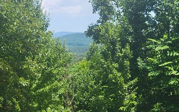 1.49 Acres of Residential Land for Sale in Warne, North Carolina