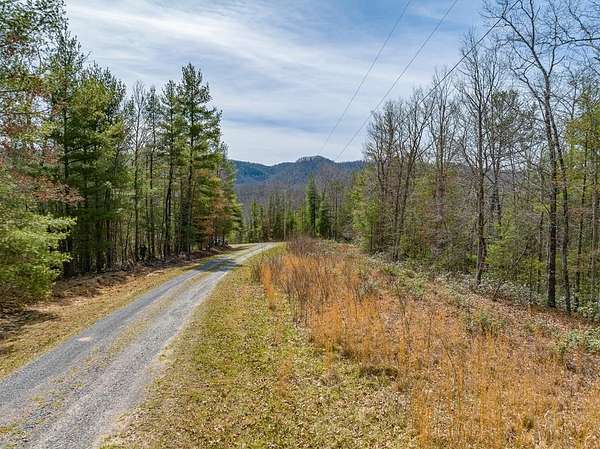 1.75 Acres of Residential Land for Sale in Bland, Virginia