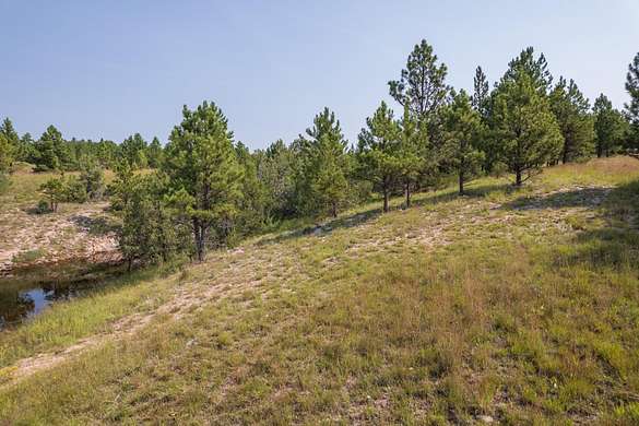 Land For Sale Near Custer Sd