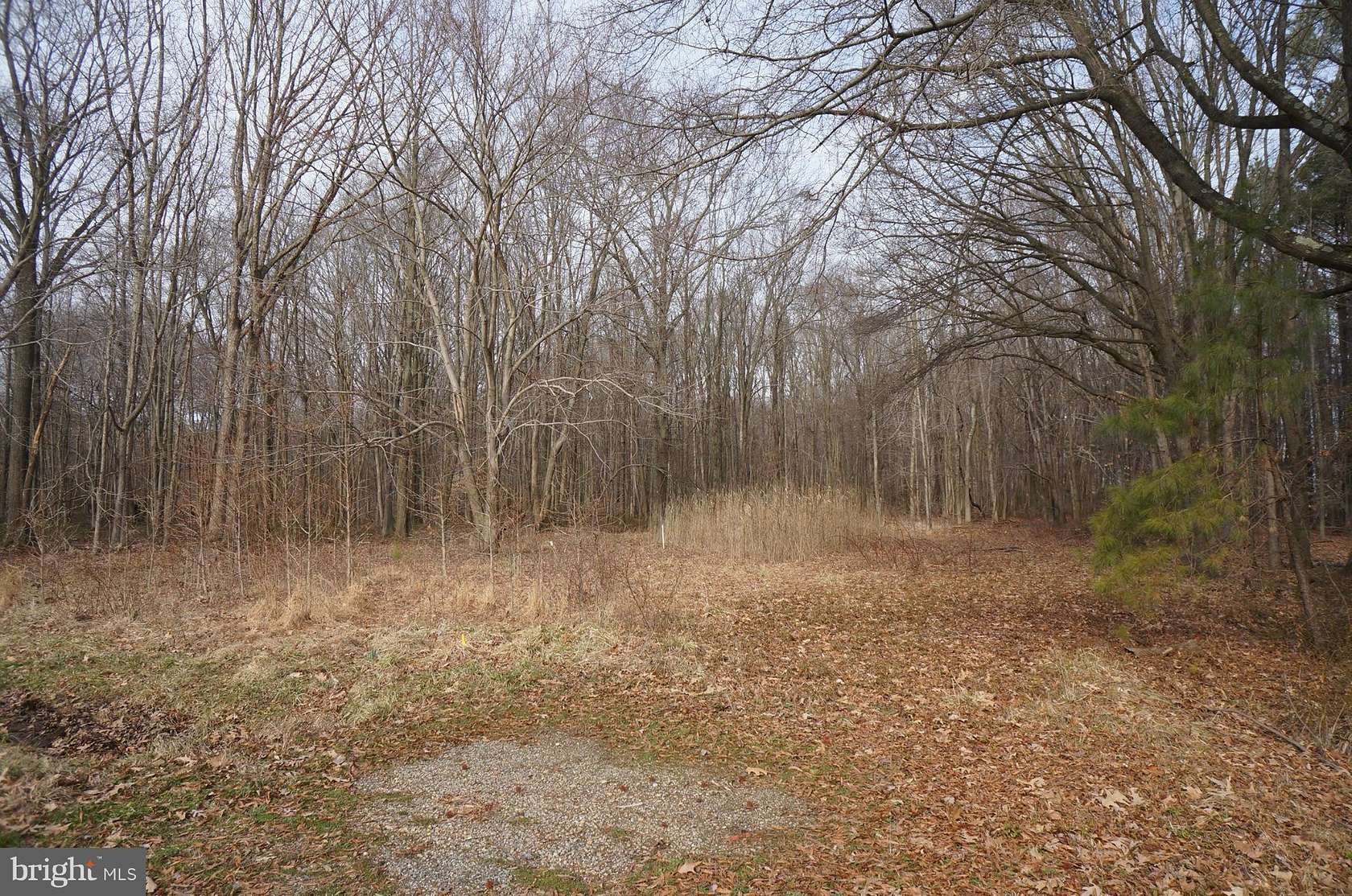 1.2 Acres of Land for Sale in Chestertown, Maryland