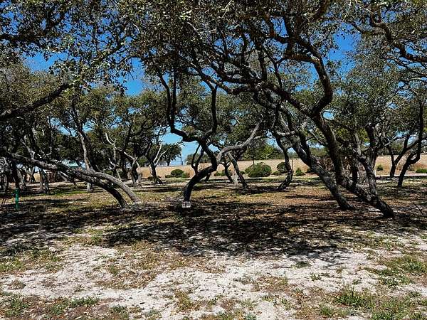 0.16 Acres of Residential Land for Sale in Fulton, Texas