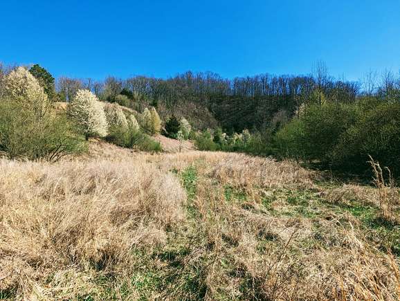 45 Acres of Land for Sale in Clintwood, Virginia