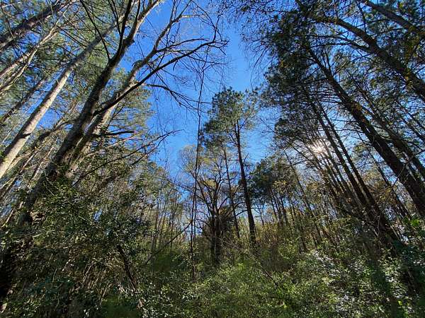 9 Acres of Land for Sale in Moncks Corner, South Carolina