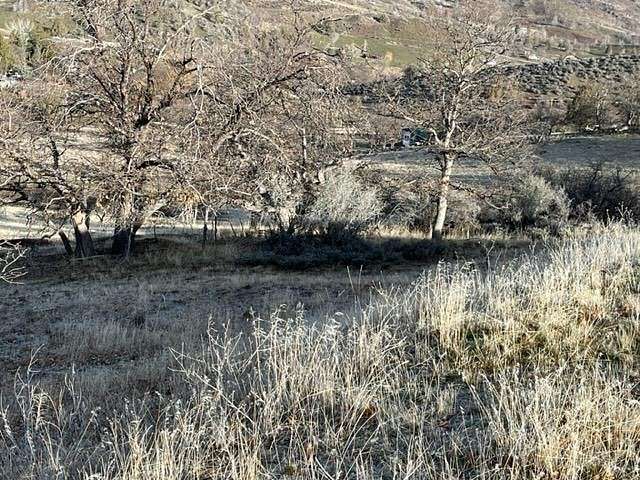 3 Acres of Residential Land for Sale in Hornbrook, California