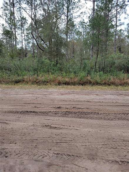 1.04 Acres of Residential Land for Sale in Hastings, Florida