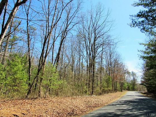 17 Acres of Land for Sale in Monroe, Virginia