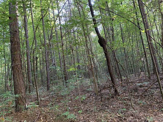 5.1 Acres of Residential Land for Sale in Toccoa, Georgia