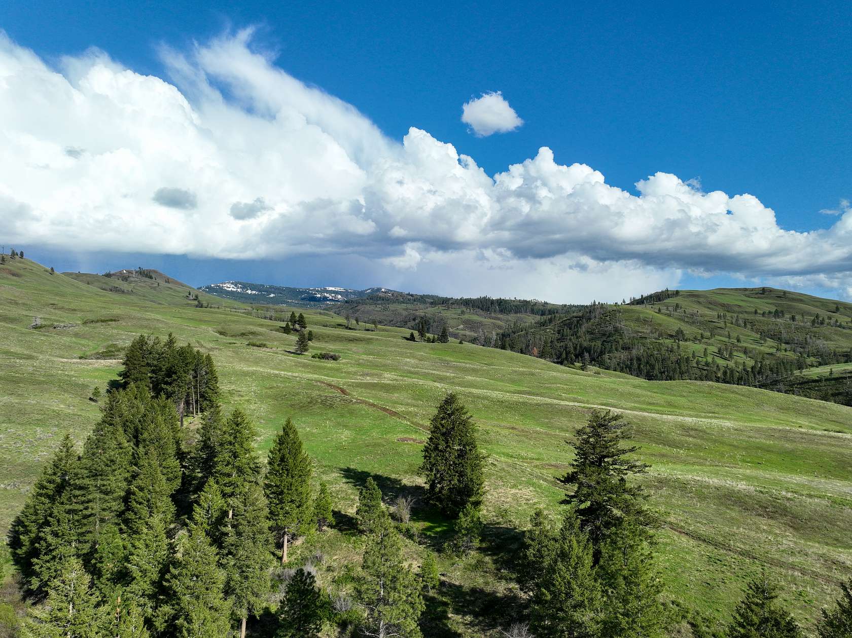 256 Acres of Recreational Land & Farm for Sale in Council, Idaho