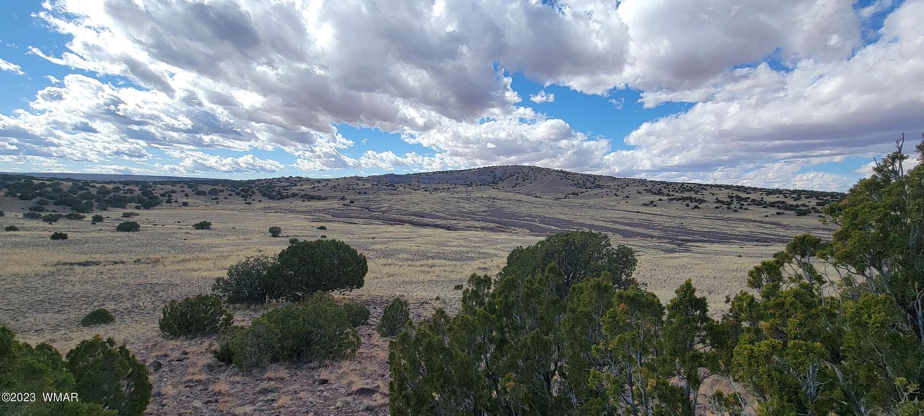 78.4 Acres of Land for Sale in Concho, Arizona