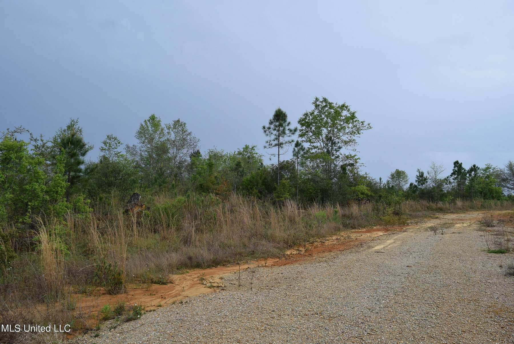 160 Acres of Land for Sale in Saucier, Mississippi