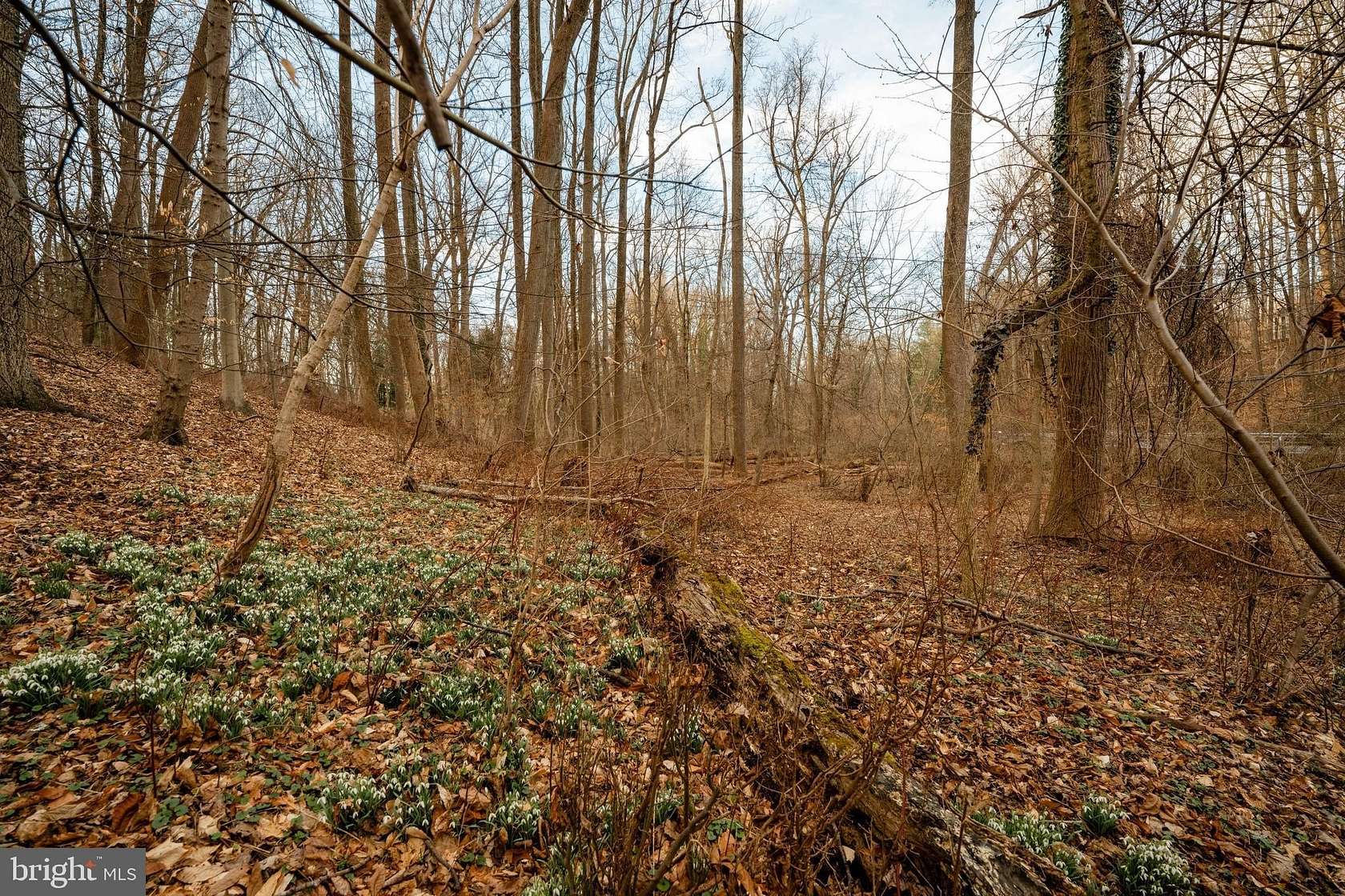 2.56 Acres of Residential Land for Sale in Pikesville, Maryland