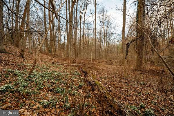 2.56 Acres of Residential Land for Sale in Pikesville, Maryland
