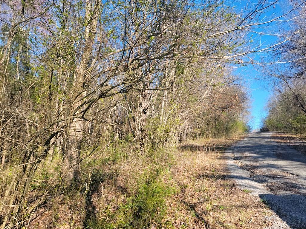 0.73 Acres of Land for Sale in Spring City, Tennessee