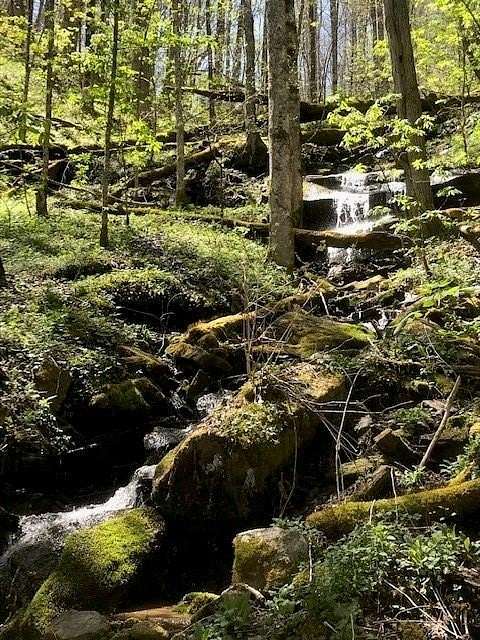 7.34 Acres of Residential Land for Sale in Waynesville, North Carolina