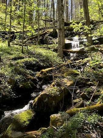 7.34 Acres of Residential Land for Sale in Waynesville, North Carolina