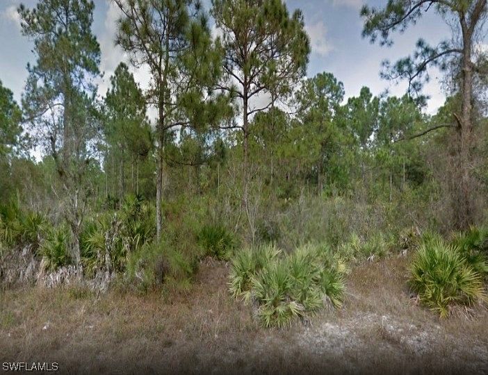 0.25 Acres of Residential Land for Sale in Alva, Florida