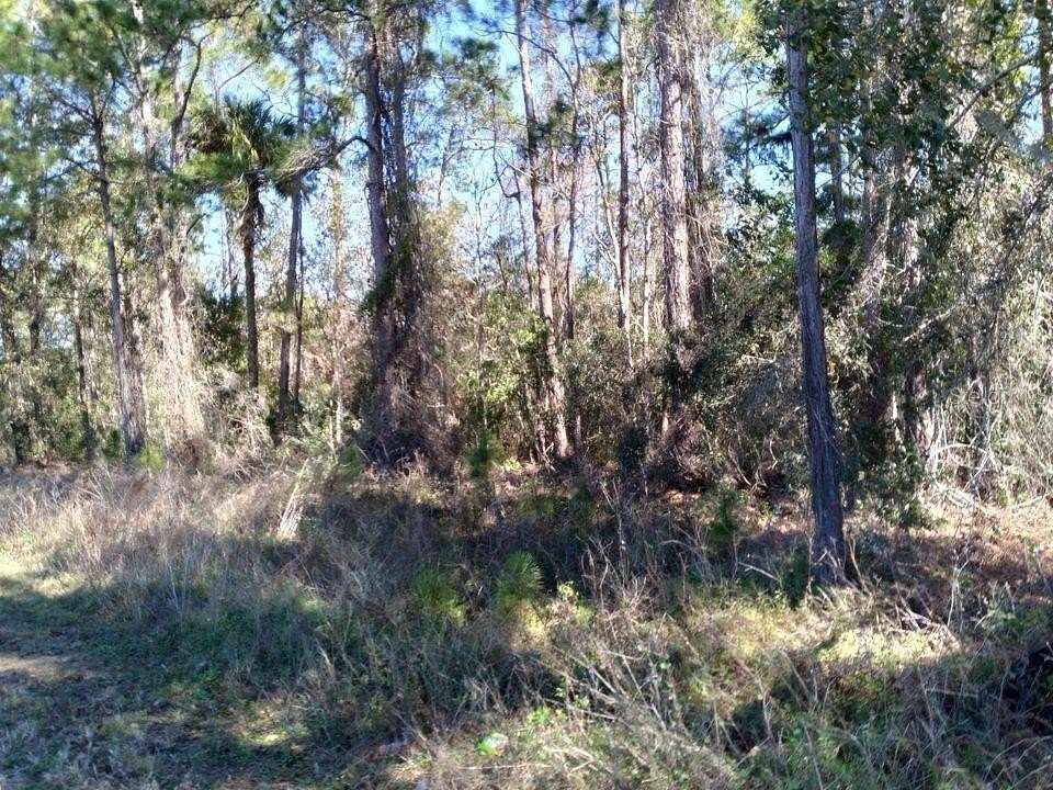 21.6 Acres of Land for Lease in Polk City, Florida