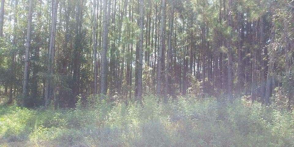 1.7 Acres of Commercial Land for Sale in Polk City, Florida